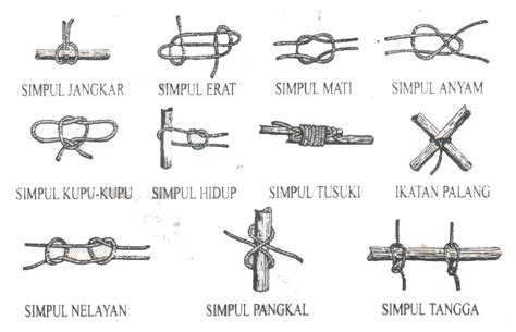Perbedaan Ikatan dan Simpul