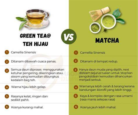 Perbedaan Matcha dan Green Tea