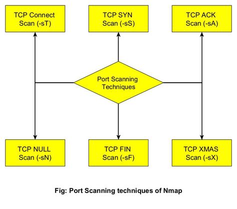 Perbedaan Utama Port Scavenging vs Port Scanning