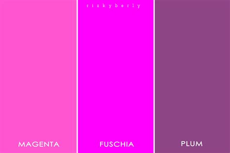 Perbedaan Warna Fuschia dan Magenta