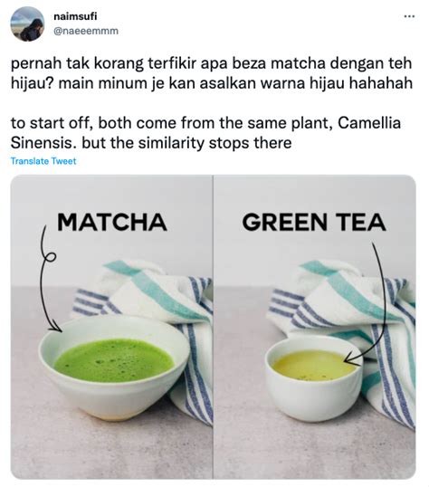 Perbedaan dalam Penggunaan Matcha dan Sage Green