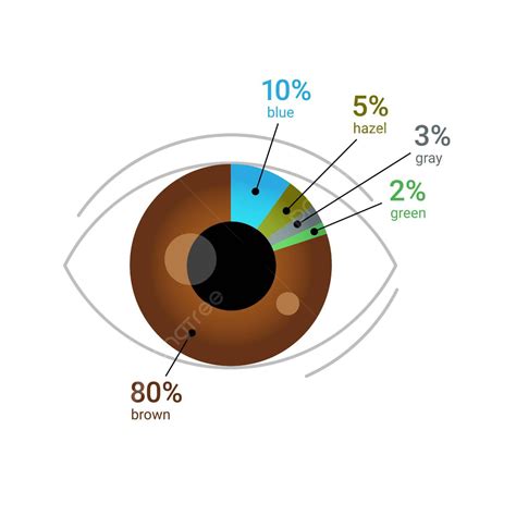 Percentage Of Eye Color Chart