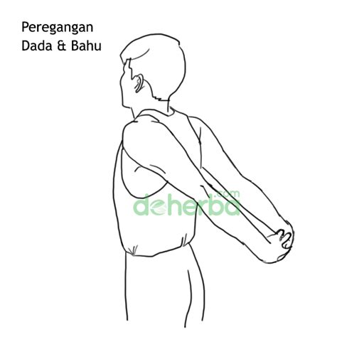 Peregangan Dada