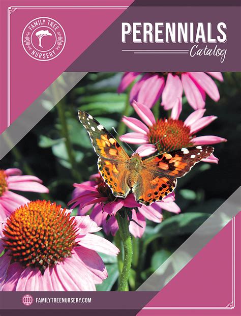 Perennial Plant Catalogs