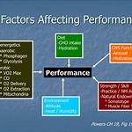 Performance and Achievements factor