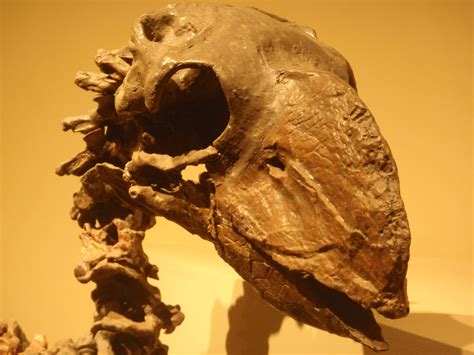 Periode Paleogen