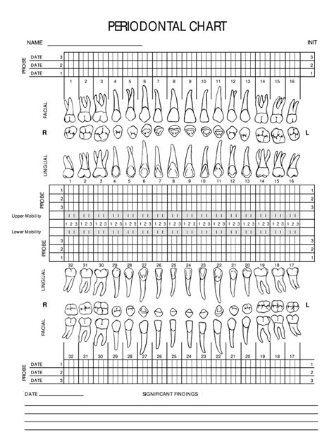 Periodontal Probing Chart Template
