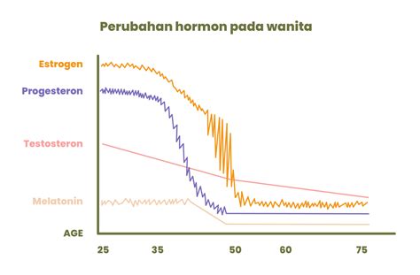 Perubahan Hormon