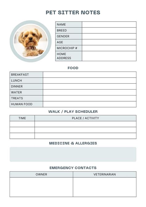 Pet Sitting Template