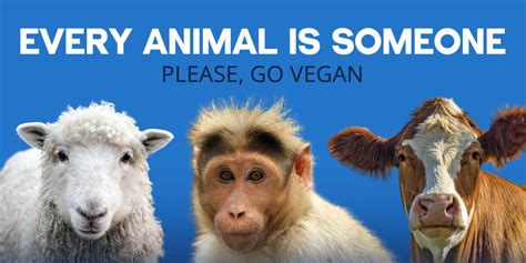 Peta