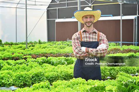 Petani Organik