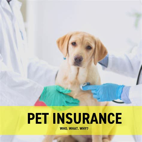 Pets with insurance