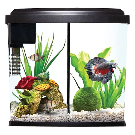 PetSmart Betta Fish Tanks
