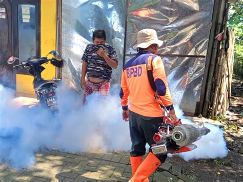 Petugas Fogging DBD