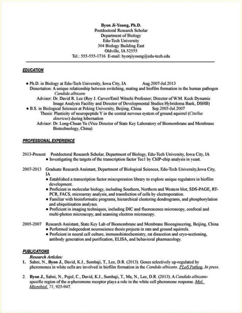 Phd Application Cv Template