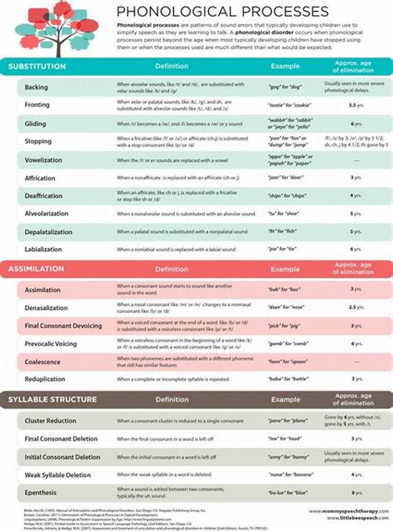 Phonological Processes Development Chart