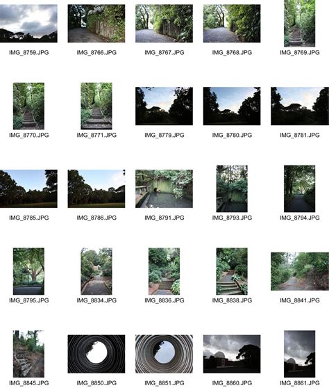 Photography Contact Sheet Template