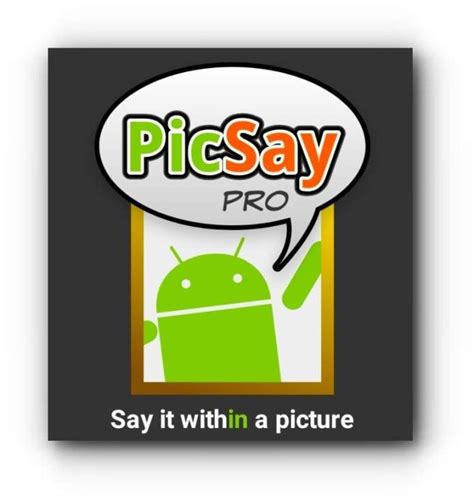 PicSay Pro Color