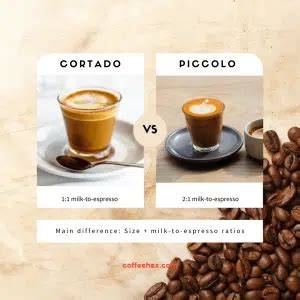 Piccolo vs Cortado