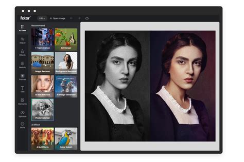 Picture Colorizer Add Images