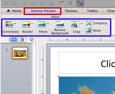 Picture Format Tab Activated
