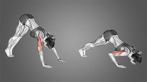 Pike Push Up