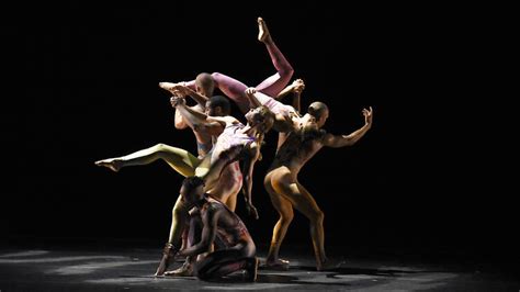 Pilobolus