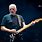 Pink Floyd Guitarist David Gilmour