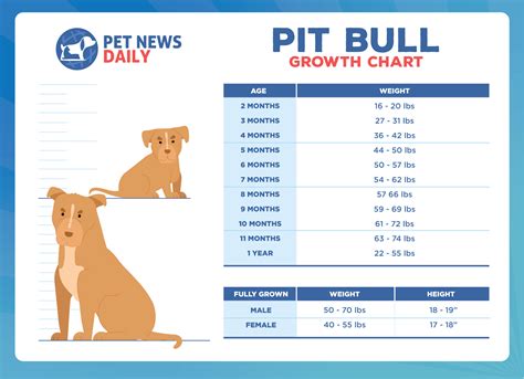 Pitbull Growing Chart