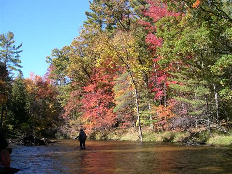Planning Your Fishing Trip to Pere Marquette River