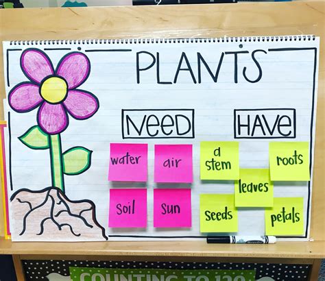 Plant Needs Anchor Chart