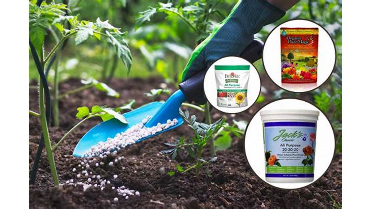 Plant fertilizer