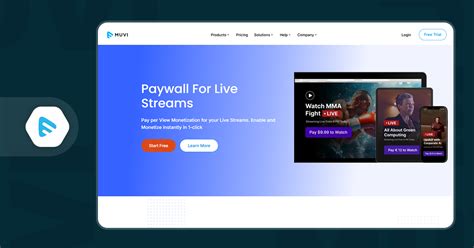 Platform Streaming Berbasis Iklan (AVOD)