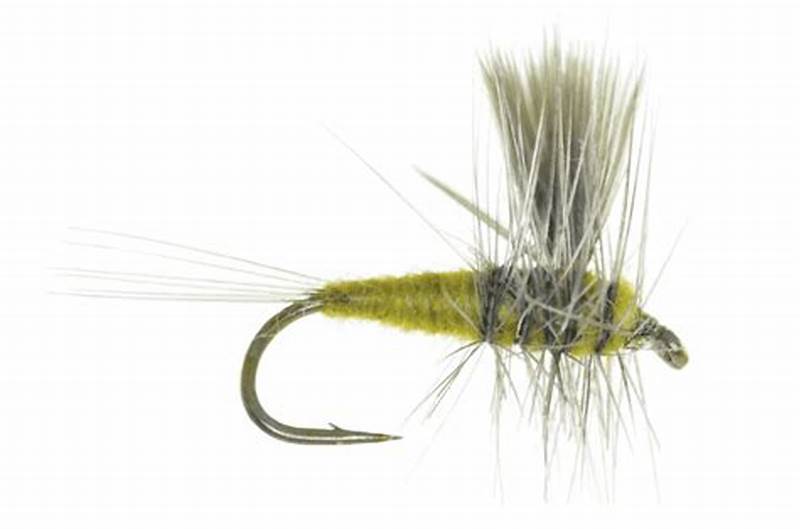 Pmd Fly Pattern