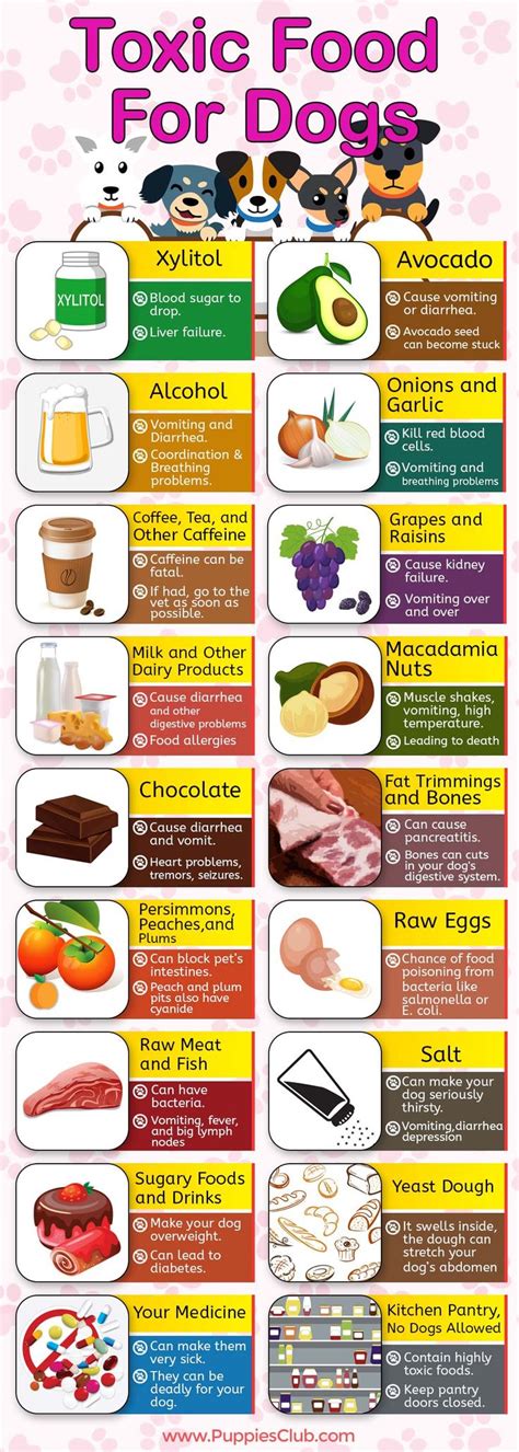 Poisonous Foods For Dogs Chart