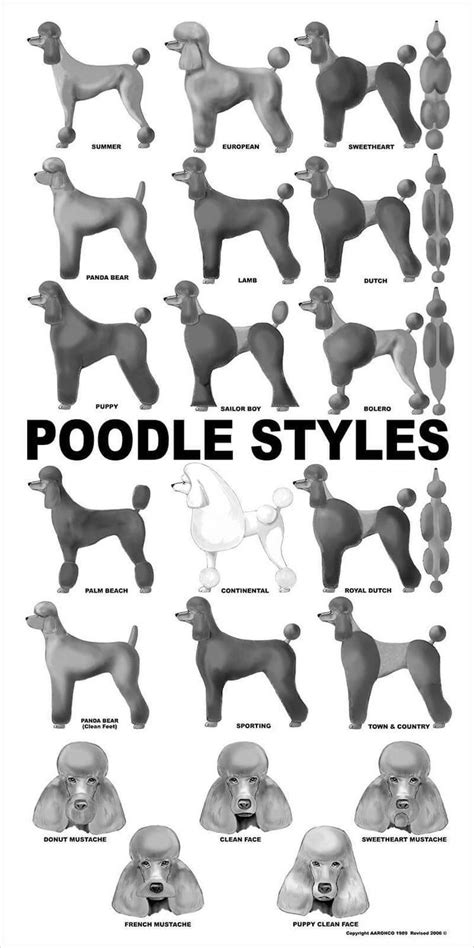 Poodle Goldendoodle Grooming Chart