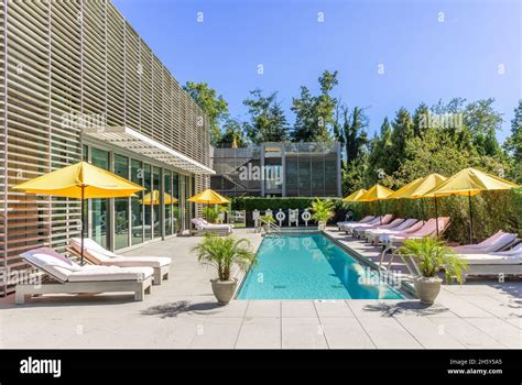 Distinctive characteristics of the Pool House Rose