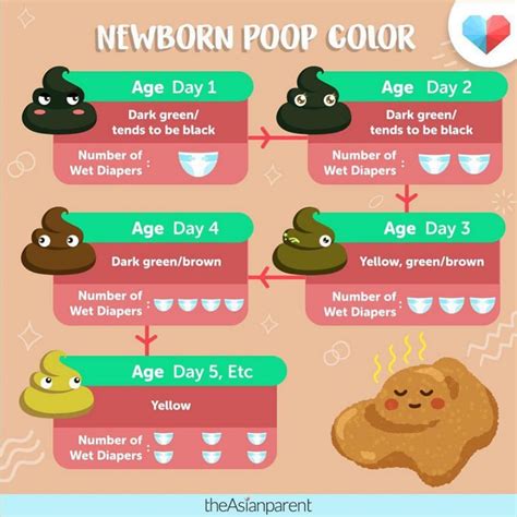 Poop Chart For Newborns