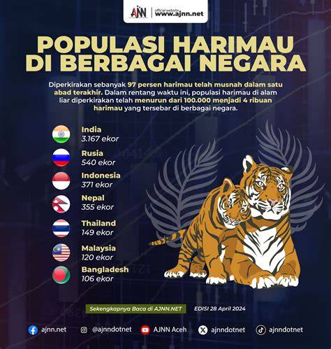 Populasi Harimau