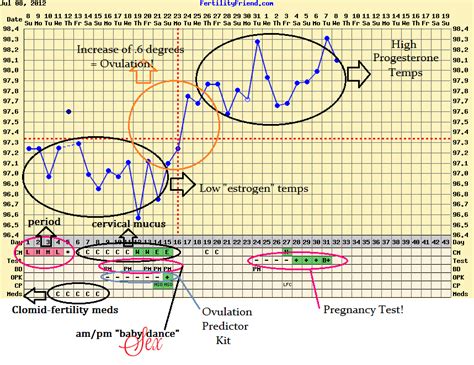 Positive Pregnancy Bbt Chart