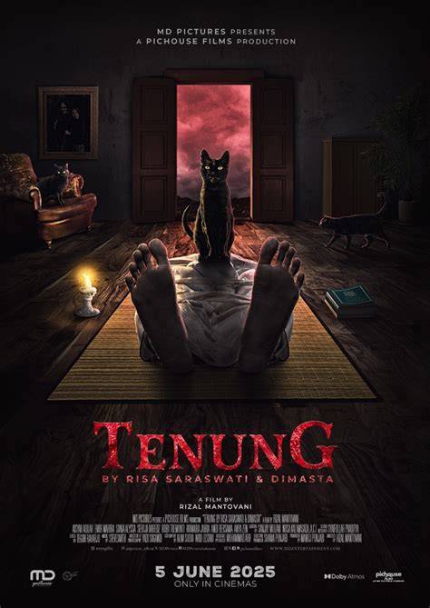 Poster Film Tenung