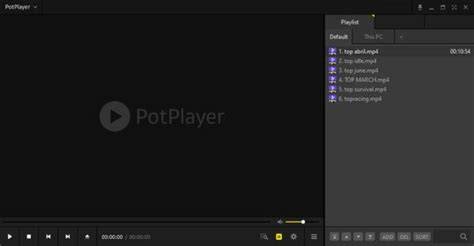 PotPlayer Media Player Interface