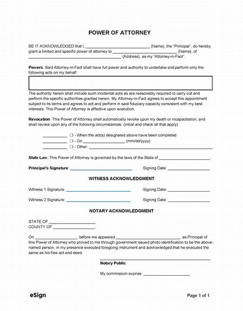 Power Of Attorney Form Example