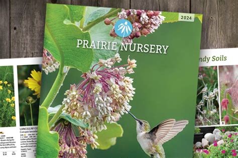 Prairie Nursery Catalog
