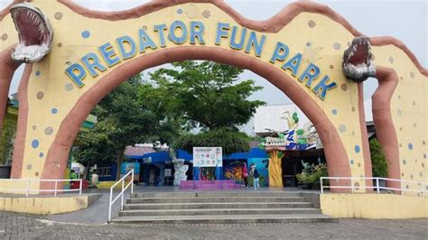 Buaya Predator Fun Park