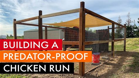 Predator-Proof Chicken