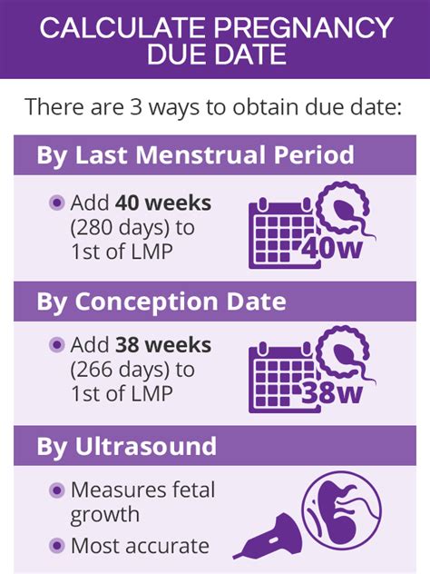 Pregnancy Due Date Calculation