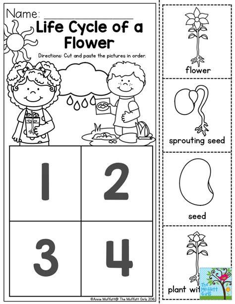 Preschool Plant Life Cycle Printables