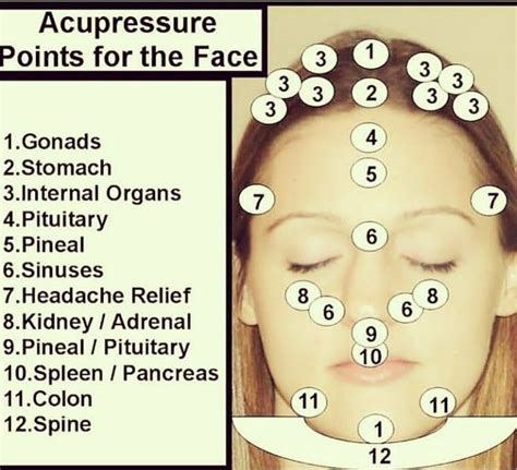 Pressure Points On The Face Chart