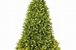 Price of Christmas Trees at Home Depot